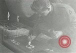 Standbild europäische Truppen Ägypten, 1956, aus Sekunde 15 historischem Filmmaterial Videoclip 65675064692