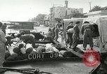 Standbild europäische Truppen Ägypten, 1956, aus Sekunde 11 historischem Filmmaterial Videoclip 65675064694
