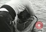 Standbild europäische Schiffe Ägypten, 1956, aus Sekunde 27 historischem Filmmaterial Videoclip 65675064697
