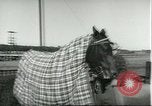 Image of Handicap race Europe, 1957, second 52 stock footage video 65675064700
