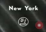Immagine di International Flower Show New York United States USA, 1960, secondo 1 filmato di repertorio 65675064709