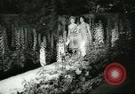 Immagine di International Flower Show New York United States USA, 1960, secondo 8 filmato di repertorio 65675064709