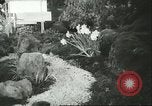 Immagine di International Flower Show New York United States USA, 1960, secondo 17 filmato di repertorio 65675064709
