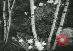 Immagine di International Flower Show New York United States USA, 1960, secondo 21 filmato di repertorio 65675064709