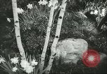 Immagine di International Flower Show New York United States USA, 1960, secondo 22 filmato di repertorio 65675064709
