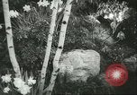 Immagine di International Flower Show New York United States USA, 1960, secondo 23 filmato di repertorio 65675064709