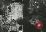 Immagine di International Flower Show New York United States USA, 1960, secondo 28 filmato di repertorio 65675064709