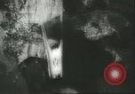 Immagine di International Flower Show New York United States USA, 1960, secondo 29 filmato di repertorio 65675064709