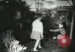 Immagine di International Flower Show New York United States USA, 1960, secondo 31 filmato di repertorio 65675064709