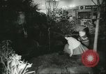 Immagine di International Flower Show New York United States USA, 1960, secondo 34 filmato di repertorio 65675064709