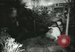 Immagine di International Flower Show New York United States USA, 1960, secondo 35 filmato di repertorio 65675064709