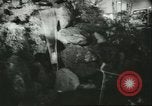 Immagine di International Flower Show New York United States USA, 1960, secondo 36 filmato di repertorio 65675064709
