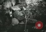 Immagine di International Flower Show New York United States USA, 1960, secondo 37 filmato di repertorio 65675064709
