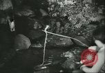 Immagine di International Flower Show New York United States USA, 1960, secondo 38 filmato di repertorio 65675064709