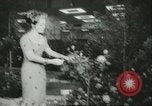 Immagine di International Flower Show New York United States USA, 1960, secondo 41 filmato di repertorio 65675064709