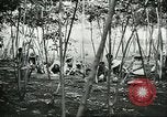 Image of Brazilian rubber tree farmers for Ford Brazil, 1942, second 8 stock footage video 65675064715