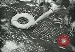 Image of Brazilian rubber tree farmers for Ford Brazil, 1942, second 11 stock footage video 65675064715