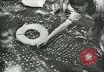 Image of Brazilian rubber tree farmers for Ford Brazil, 1942, second 15 stock footage video 65675064715
