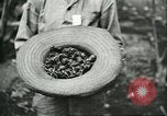 Image of Brazilian rubber tree farmers for Ford Brazil, 1942, second 18 stock footage video 65675064715