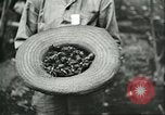 Image of Brazilian rubber tree farmers for Ford Brazil, 1942, second 19 stock footage video 65675064715
