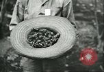 Image of Brazilian rubber tree farmers for Ford Brazil, 1942, second 20 stock footage video 65675064715