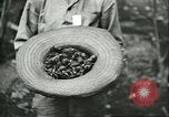 Image of Brazilian rubber tree farmers for Ford Brazil, 1942, second 21 stock footage video 65675064715