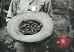 Image of Brazilian rubber tree farmers for Ford Brazil, 1942, second 22 stock footage video 65675064715