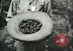 Image of Brazilian rubber tree farmers for Ford Brazil, 1942, second 24 stock footage video 65675064715