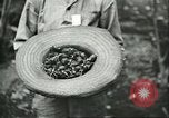 Image of Brazilian rubber tree farmers for Ford Brazil, 1942, second 25 stock footage video 65675064715