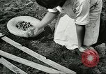 Image of Brazilian rubber tree farmers for Ford Brazil, 1942, second 44 stock footage video 65675064715
