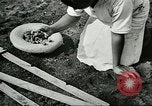 Image of Brazilian rubber tree farmers for Ford Brazil, 1942, second 45 stock footage video 65675064715
