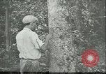Image of Ford Motor Company Brazilian rubber workers Brazil, 1942, second 1 stock footage video 65675064716