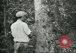 Image of Ford Motor Company Brazilian rubber workers Brazil, 1942, second 3 stock footage video 65675064716
