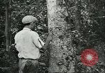 Image of Ford Motor Company Brazilian rubber workers Brazil, 1942, second 4 stock footage video 65675064716