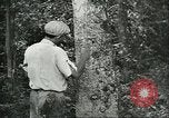 Image of Ford Motor Company Brazilian rubber workers Brazil, 1942, second 5 stock footage video 65675064716