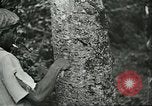Image of Ford Motor Company Brazilian rubber workers Brazil, 1942, second 9 stock footage video 65675064716