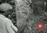 Image of Ford Motor Company Brazilian rubber workers Brazil, 1942, second 11 stock footage video 65675064716