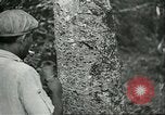Image of Ford Motor Company Brazilian rubber workers Brazil, 1942, second 12 stock footage video 65675064716