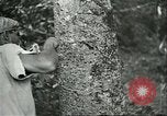 Image of Ford Motor Company Brazilian rubber workers Brazil, 1942, second 13 stock footage video 65675064716