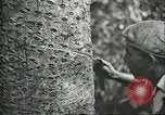 Image of Ford Motor Company Brazilian rubber workers Brazil, 1942, second 17 stock footage video 65675064716
