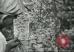 Image of Ford Motor Company Brazilian rubber workers Brazil, 1942, second 19 stock footage video 65675064716