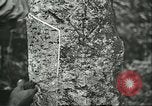 Image of Ford Motor Company Brazilian rubber workers Brazil, 1942, second 20 stock footage video 65675064716