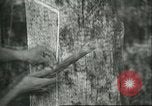 Image of Ford Motor Company Brazilian rubber workers Brazil, 1942, second 21 stock footage video 65675064716