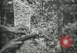 Image of Ford Motor Company Brazilian rubber workers Brazil, 1942, second 23 stock footage video 65675064716
