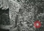 Image of Ford Motor Company Brazilian rubber workers Brazil, 1942, second 27 stock footage video 65675064716