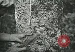 Image of Ford Motor Company Brazilian rubber workers Brazil, 1942, second 28 stock footage video 65675064716