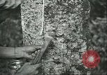 Image of Ford Motor Company Brazilian rubber workers Brazil, 1942, second 29 stock footage video 65675064716