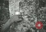 Image of Ford Motor Company Brazilian rubber workers Brazil, 1942, second 33 stock footage video 65675064716