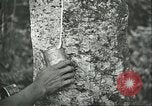 Image of Ford Motor Company Brazilian rubber workers Brazil, 1942, second 34 stock footage video 65675064716
