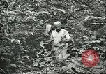 Image of Ford Motor Company Brazilian rubber workers Brazil, 1942, second 37 stock footage video 65675064716